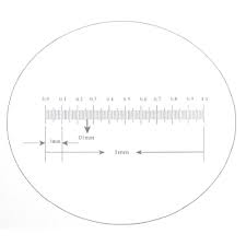 Stage Micrometer 1mm/100 Divisions for Microscope